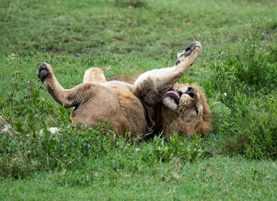 tanzania 015