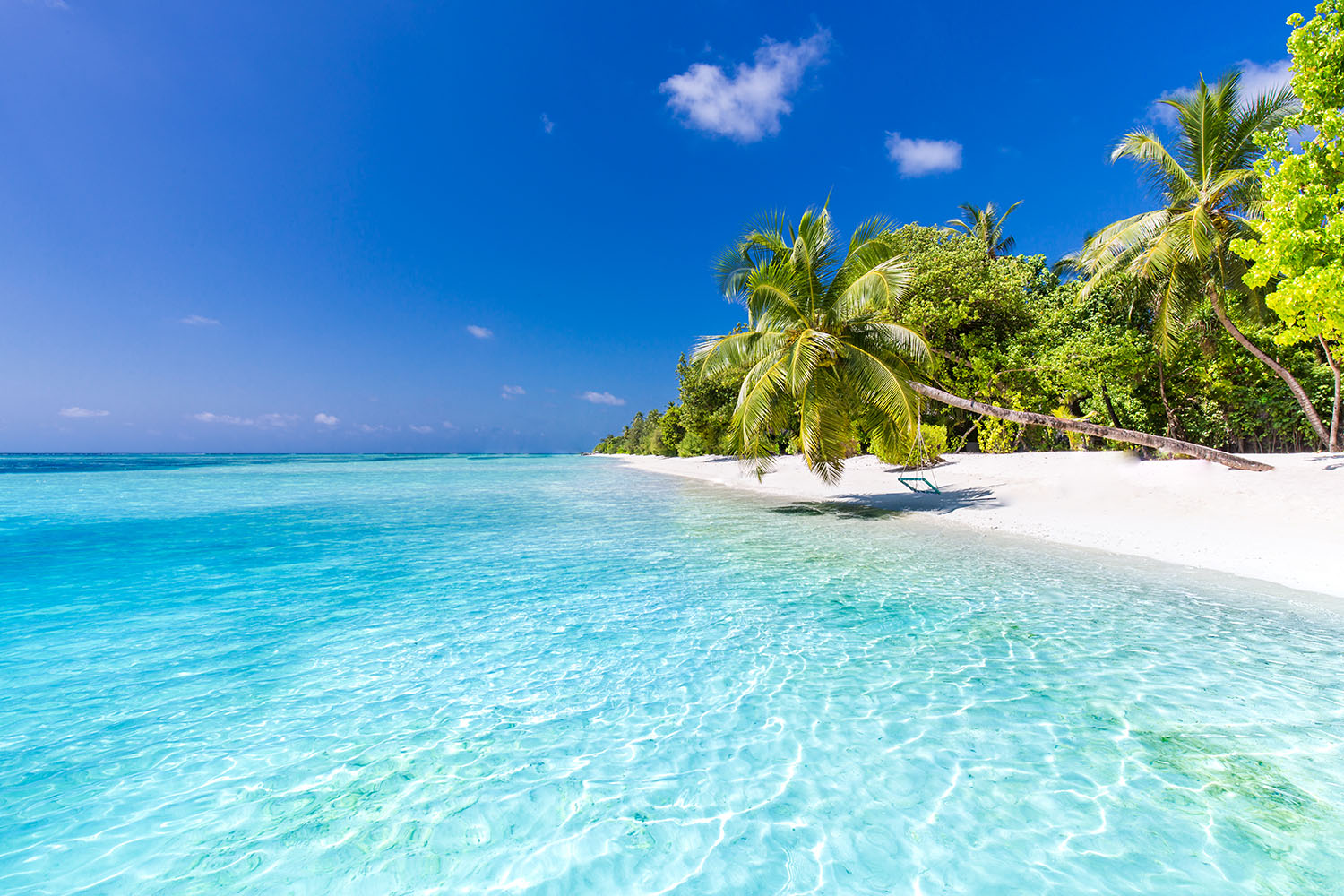 Beautiful perfect tropical beach scenery backgrounds blue sea la - Häät
