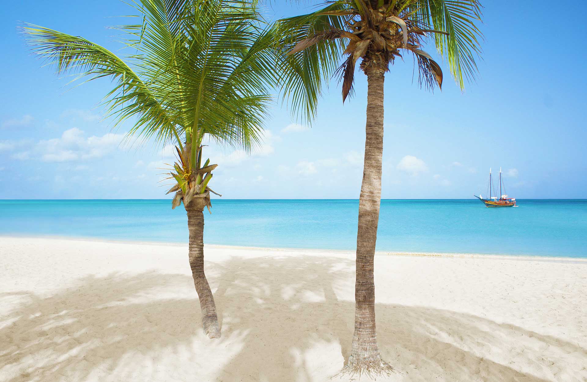 Palm-Trees-on-Eagle-Beach