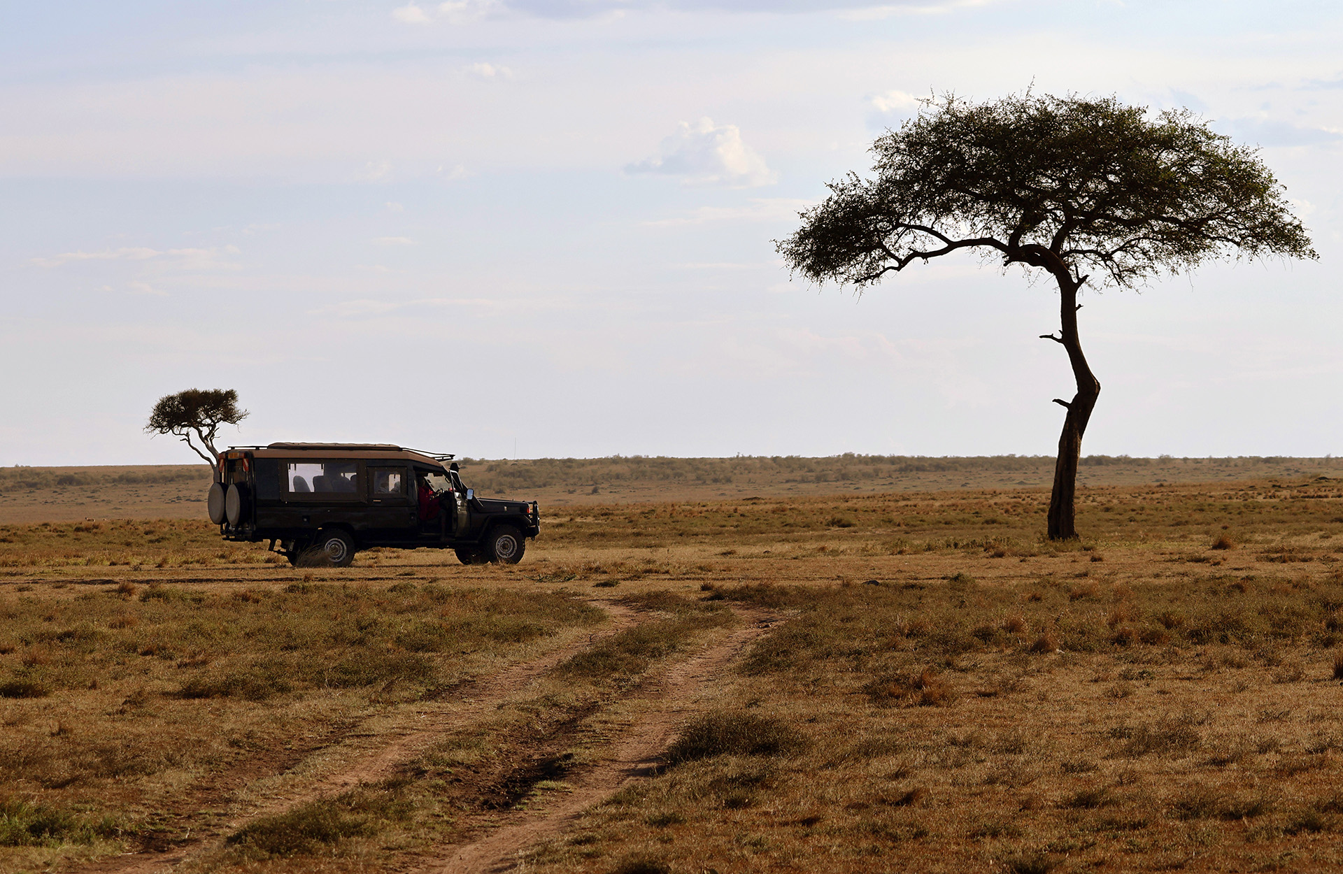 Safari Keniassa - Great Plains Conservation Safari Keniassa - Great Plains Conservation