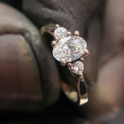 Schalins of Sweden